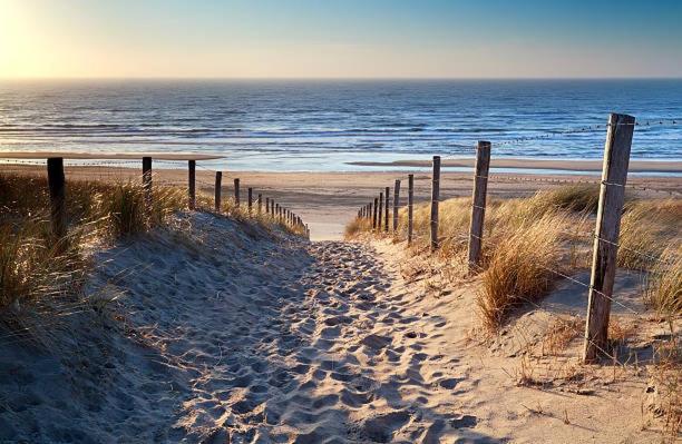 Casa La Vida Beach House & Free Bikes Zandvoort Dış mekan fotoğraf